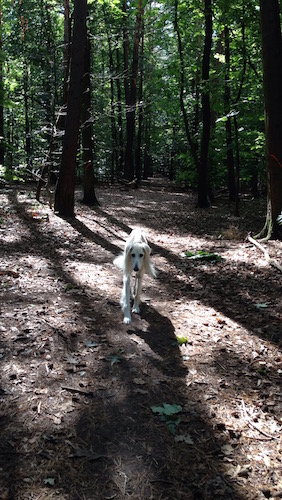 2015-09-08 15.17.14 Kopie