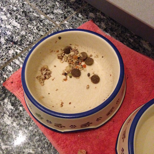 2015-09-13 19.45.02 Kopie