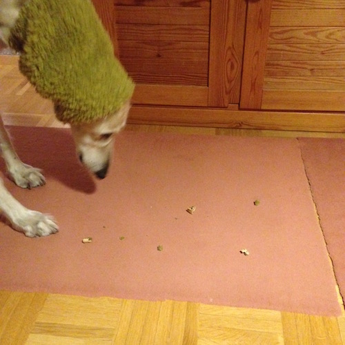 2015-09-13 19.50.18 Kopie