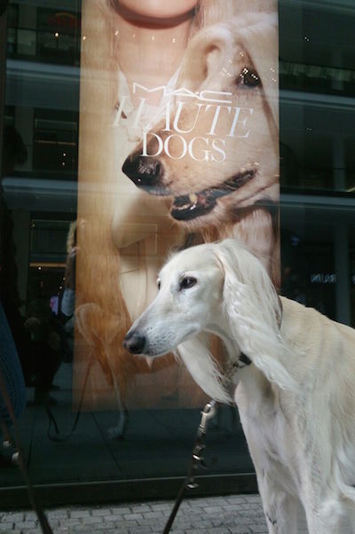 2015-09-16 11.52.24-2 Kopie