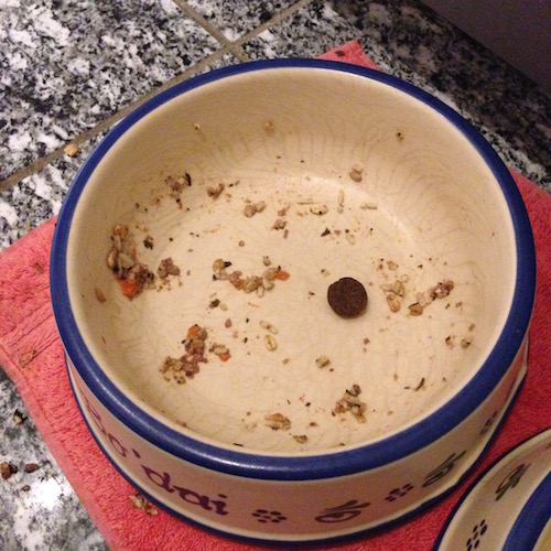 2015-10-06 21.55.39 Kopie