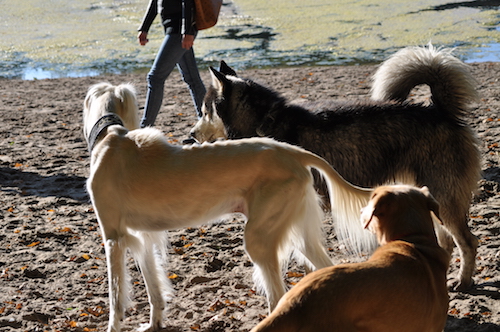 2015-10-11 16.05.00 Kopie