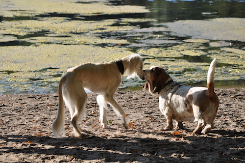 2015-10-11 16.13.01 Kopie