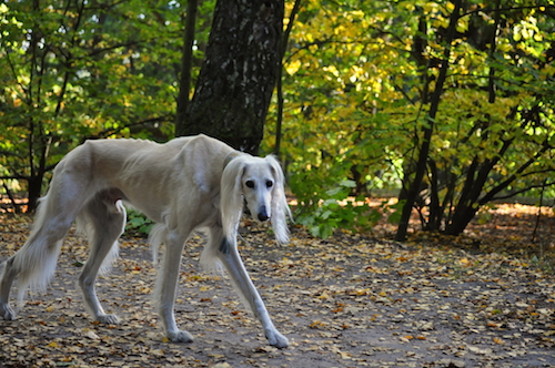 2015-10-12 15.54.18 Kopie