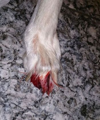 2015-12-03 06.37.29 Kopie