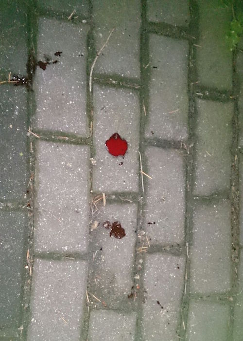 2015-12-03 07.43.11 Kopie