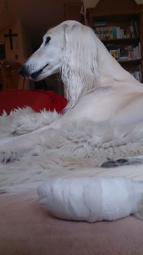 2015-12-04 09.49.31 Kopie