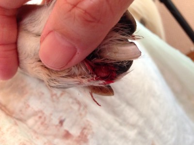 2015-12-08 12.06.36 Kopie