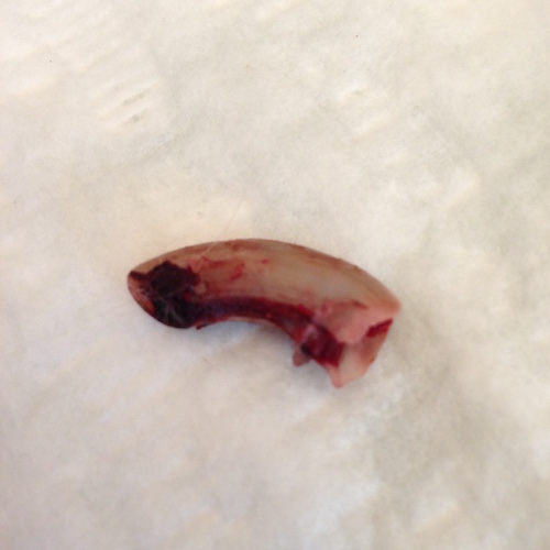 2015-12-08 12.14.59 Kopie