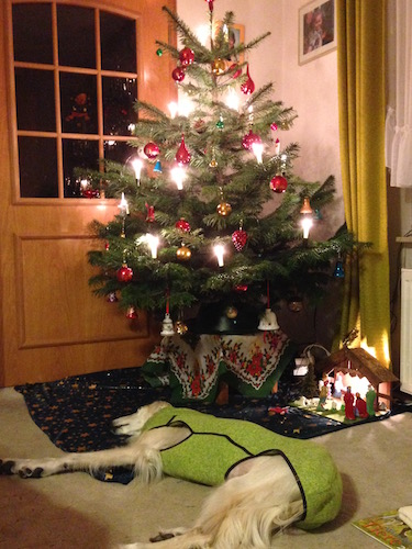 2015-12-24 21.58.03 Kopie