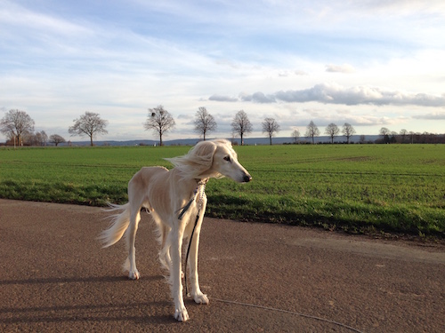 2015-12-26 14.48.26 Kopie