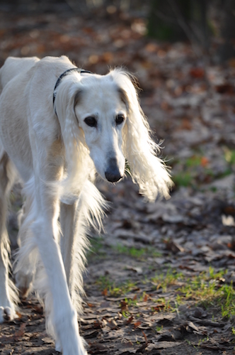 2015-12-29 14.11.07 Kopie