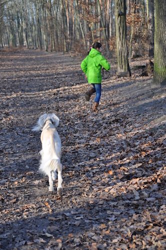 2015-12-29 14.13.37 Kopie