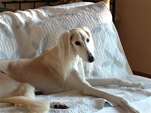 2015-12-30 13.05.06 Kopie