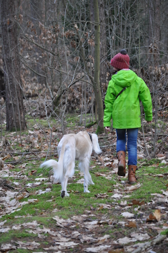 2015-12-30 16.11.35 Kopie