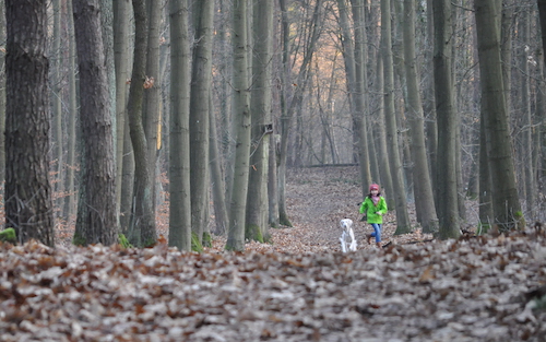 2015-12-30 16.22.00 Kopie