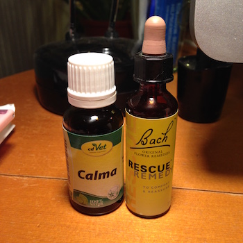 2015-12-30 23.56.53 Kopie