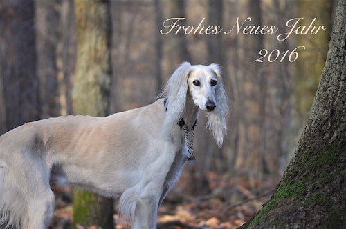 2015-12-29 14.08.13 Kopie 4