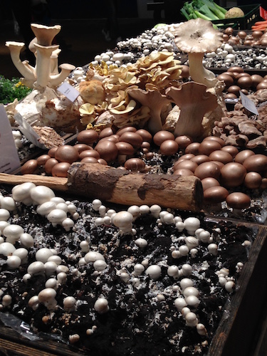 2016-01-19 12.26.30 Kopie