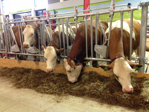 2016-01-19 14.10.02 Kopie