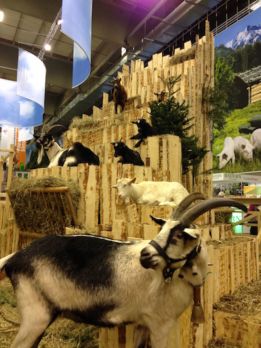 2016-01-19 16.08.22 Kopie