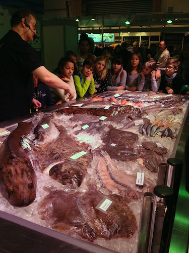 2016-01-20 10.35.28 Kopie