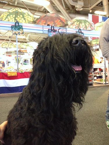 2016-01-20 15.21.15 Kopie