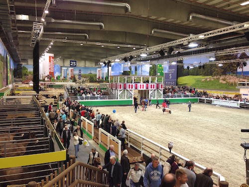 2016-01-20 16.09.44 Kopie