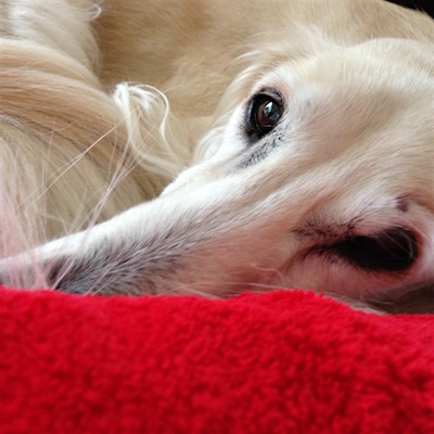 2016-01-29 11.35.07 Kopie