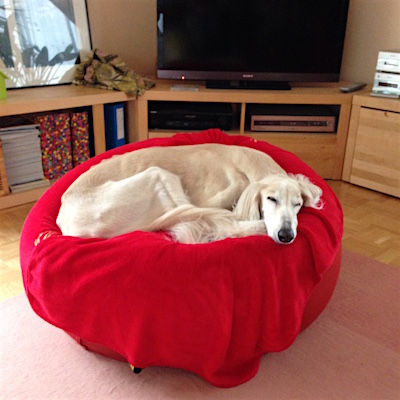 2016-01-29 11.55.22 Kopie