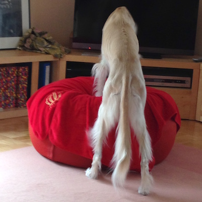 2016-01-29 12.21.24 Kopie