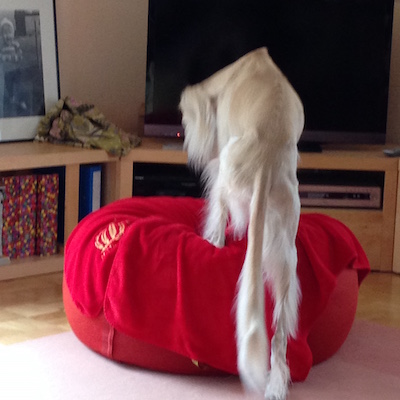 2016-01-29 12.21.27 Kopie