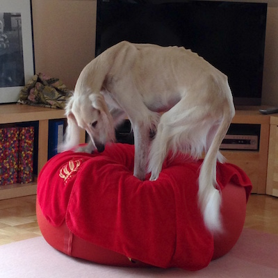 2016-01-29 12.21.29 Kopie