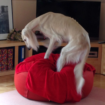 2016-01-29 12.21.30 Kopie