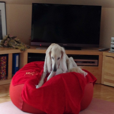 2016-01-29 12.21.35 Kopie