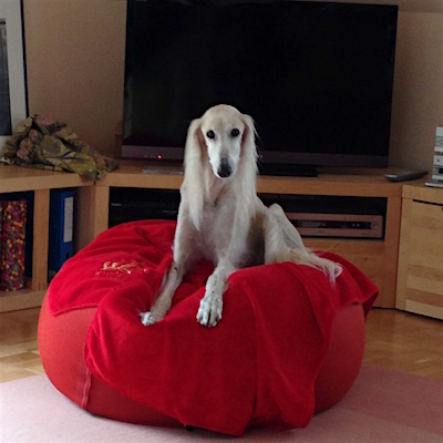 2016-01-29 12.21.36 Kopie