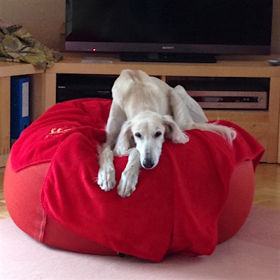 2016-01-29 12.22.14 Kopie