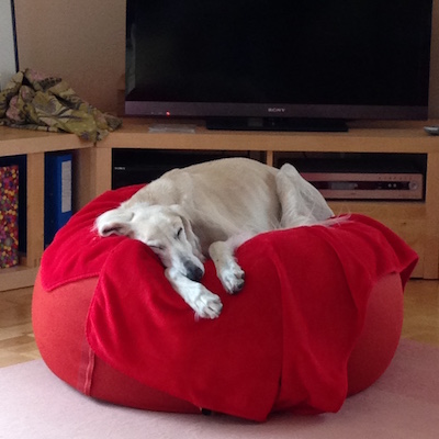 2016-01-29 12.23.58 Kopie