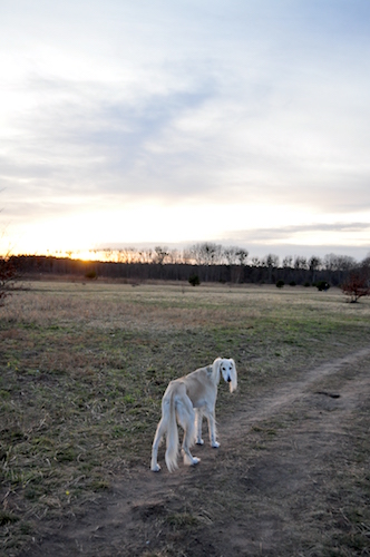 2016-02-06 18.00.24 Kopie