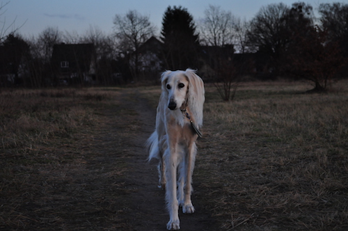 2016-02-06 18.03.05 Kopie