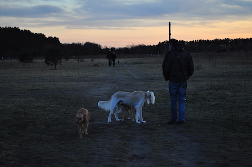 2016-02-06 18.04.25 Kopie