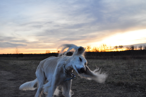 2016-02-06 18.06.27 Kopie