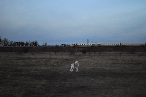 2016-02-06 18.07.18 Kopie