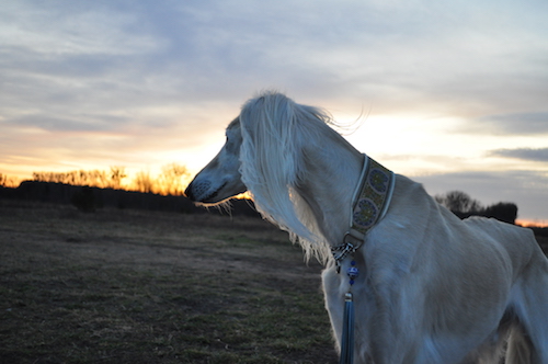 2016-02-06 18.08.00 Kopie