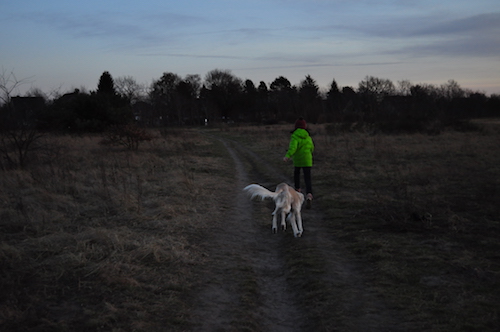 2016-02-06 18.08.42 Kopie