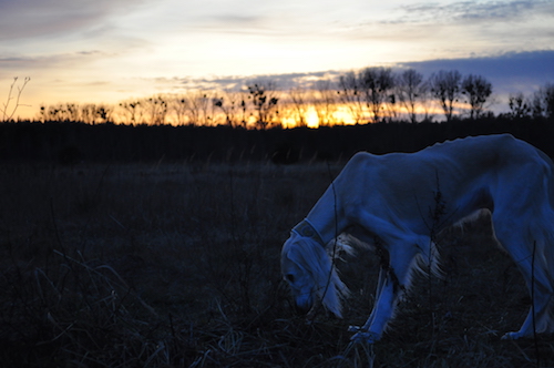 2016-02-06 18.11.31 Kopie