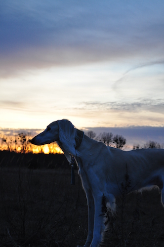 2016-02-06 18.12.08-2 Kopie