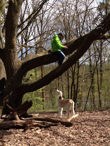 2016-04-19 15.10.15 Kopie