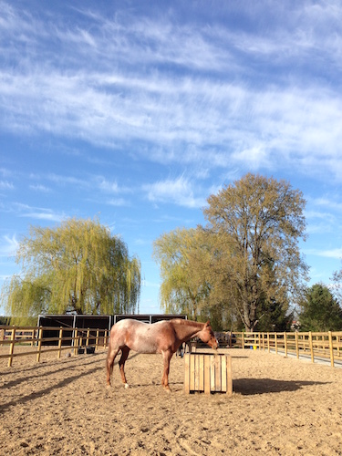 2016-04-22 18.07.10 Kopie